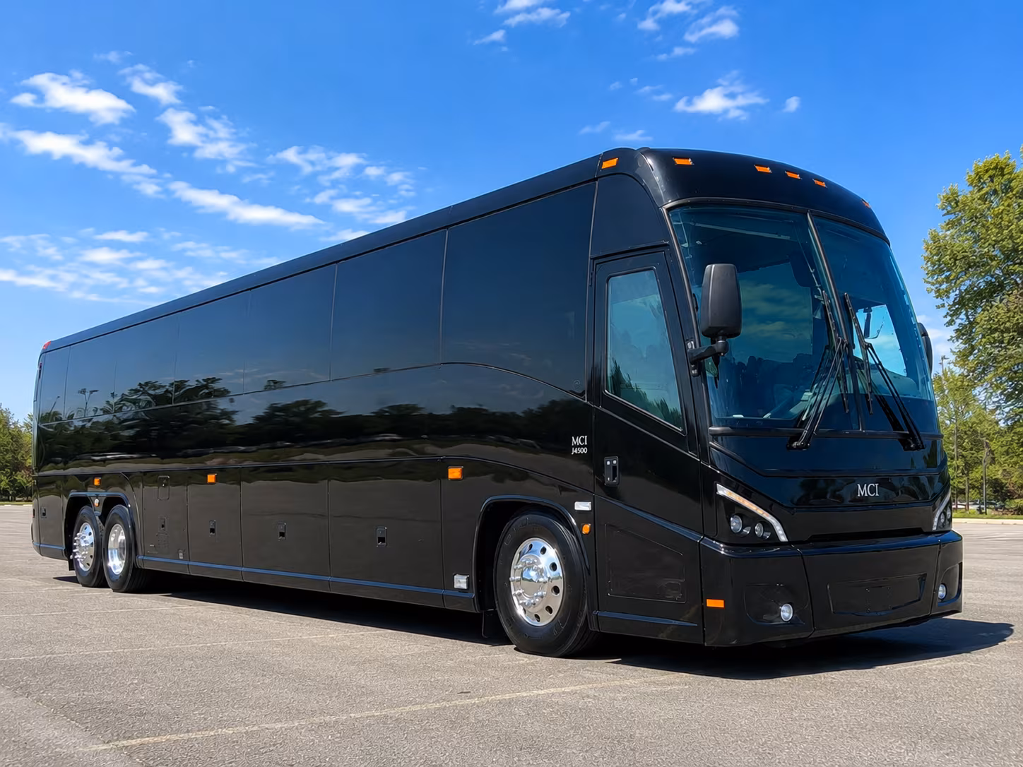 explore grounds for sculpture in hamilton with the whole class on one bus