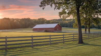 shady brook farm